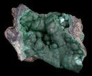 Dark Green Chrysocolla Crystals - Cyber Monday Deal! #35645-1